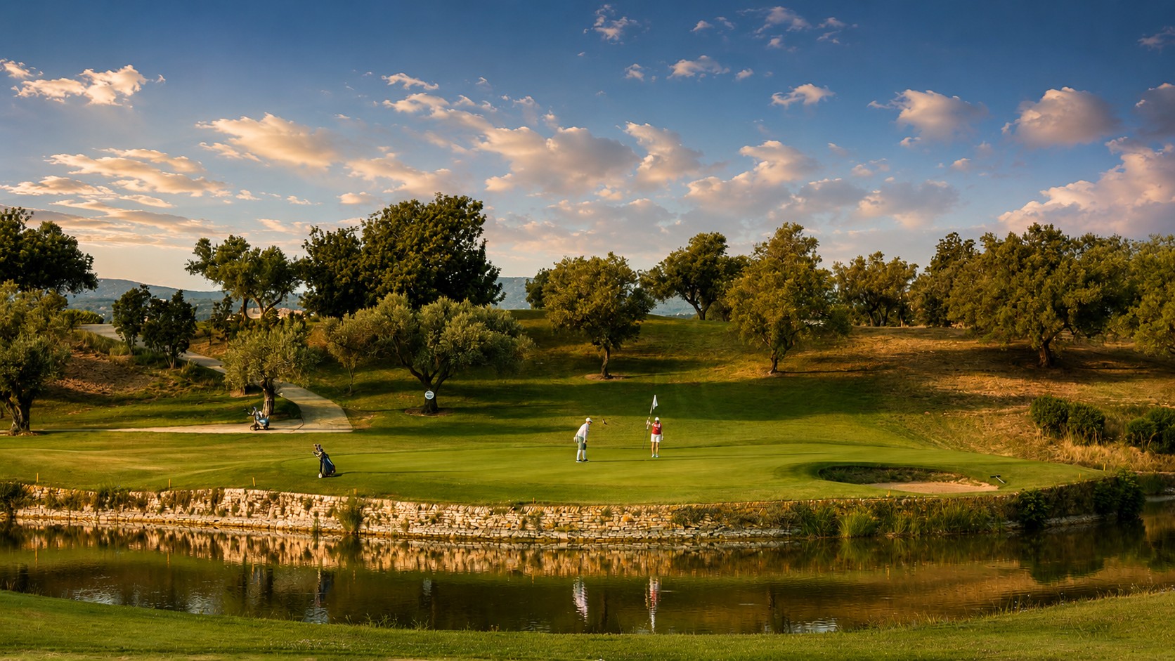 El campo de Panorámica entre olivos y agua